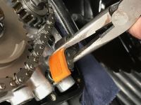 Harley photo.jpg Harley photo.jpg